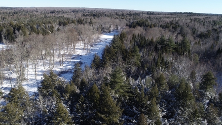 Land For Sale - image 18