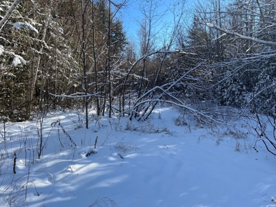 Land For Sale - image 9