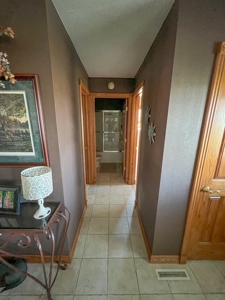 Country Home on 5 Acres Outside of Carlinville Illinois - image 25