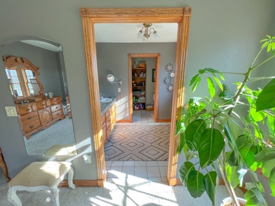 Country Home on 5 Acres Outside of Carlinville Illinois - image 34