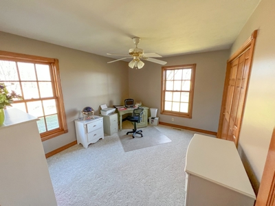 Country Home on 5 Acres Outside of Carlinville Illinois - image 23