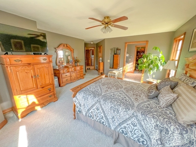 Country Home on 5 Acres Outside of Carlinville Illinois - image 28