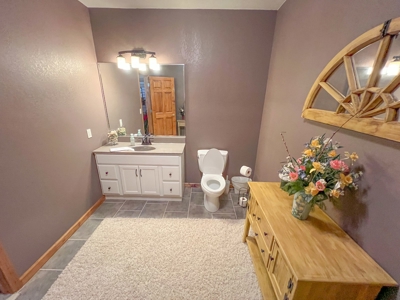 Country Home on 5 Acres Outside of Carlinville Illinois - image 40