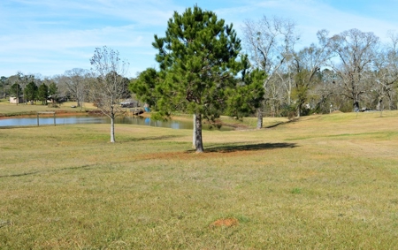 Waterfront Lot for Sale Near Golf Course Southwest MS - image 5