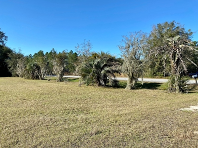 Old Florida Style Home Located in North Central Florida! - image 12