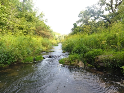For Sale: Country Waterfront Home, Trout Stream & Woods - image 20