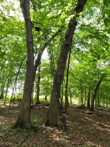 For Sale: Country Waterfront Home, Trout Stream & Woods - image 34