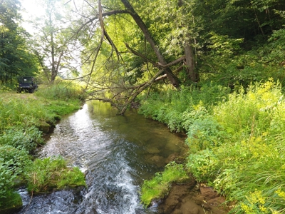 For Sale: Country Waterfront Home, Trout Stream & Woods - image 21