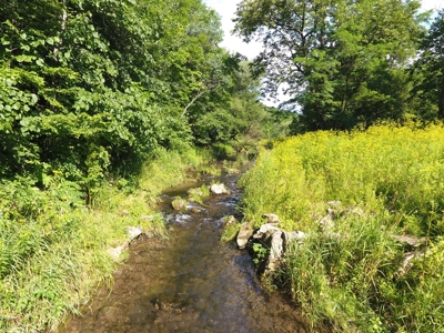 For Sale: Country Waterfront Home, Trout Stream & Woods - image 29