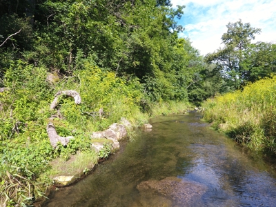 For Sale: Country Waterfront Home, Trout Stream & Woods - image 28