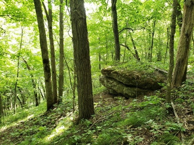 For Sale: Country Waterfront Home, Trout Stream & Woods - image 36