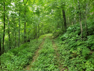 For Sale: Country Waterfront Home, Trout Stream & Woods - image 38
