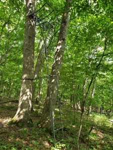 For Sale: Country Waterfront Home, Trout Stream & Woods - image 35