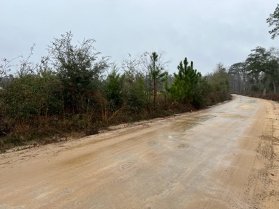 Land For Sale in Jackson County, Florida - image 9