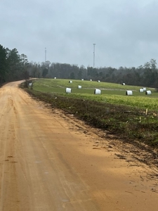 Land For Sale in Jackson County, Florida - image 14