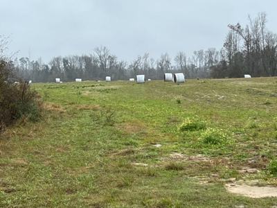 Land For Sale in Jackson County, Florida - image 10