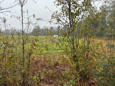 Land For Sale in Jackson County, Florida - image 12