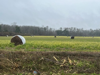 Land For Sale in Jackson County, Florida - image 16