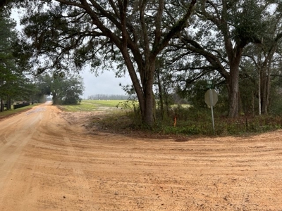 Land For Sale in Jackson County, Florida - image 3