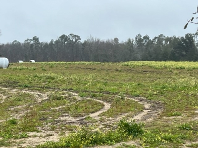 Land For Sale in Jackson County, Florida - image 11