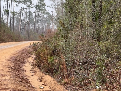 Land For Sale in Jackson County, Florida - image 6
