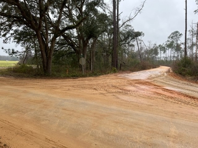 Land For Sale in Jackson County, Florida - image 2