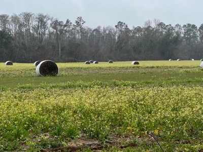 Land For Sale in Jackson County, Florida - image 18