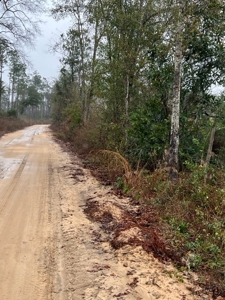 Land For Sale in Jackson County, Florida - image 13