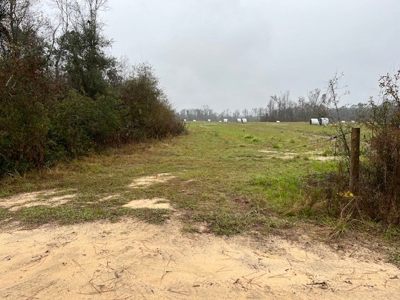 Land For Sale in Jackson County, Florida - image 8