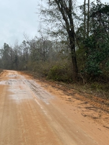 Land For Sale in Jackson County, Florida - image 20
