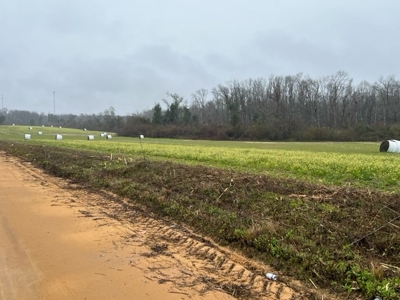 Land For Sale in Jackson County, Florida - image 15