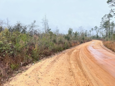 Land For Sale in Jackson County, Florida - image 7