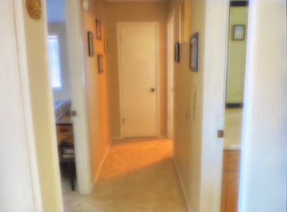 3 BR/2BA Home and Workshop on 12 acres - image 8