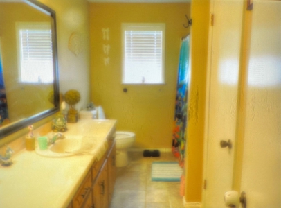 3 BR/2BA Home and Workshop on 12 acres - image 7