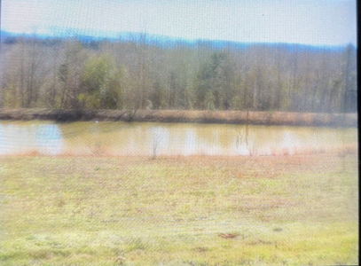3 BR/2BA Home and Workshop on 12 acres - image 27