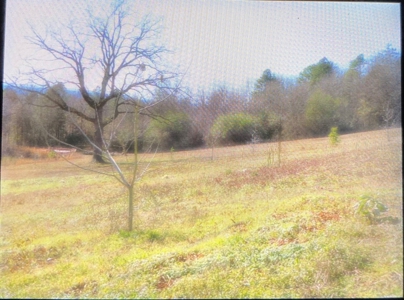 3 BR/2BA Home and Workshop on 12 acres - image 26