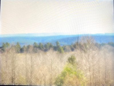 3 BR/2BA Home and Workshop on 12 acres - image 1