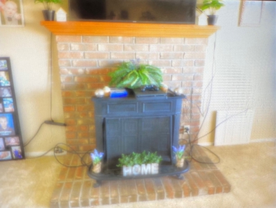 3 BR/2BA Home and Workshop on 12 acres - image 10
