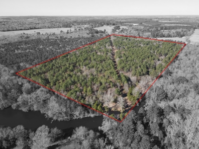 Land for Sale for sale in Gilmer, Texas - image 11