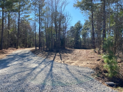 Land for Sale for sale in Gilmer, Texas - image 2