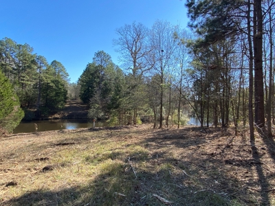 Land for Sale for sale in Gilmer, Texas - image 3