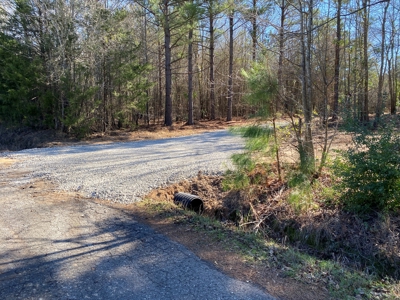 Land for Sale for sale in Gilmer, Texas - image 9