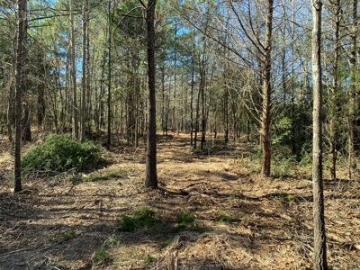Land for Sale for sale in Gilmer, Texas - image 7