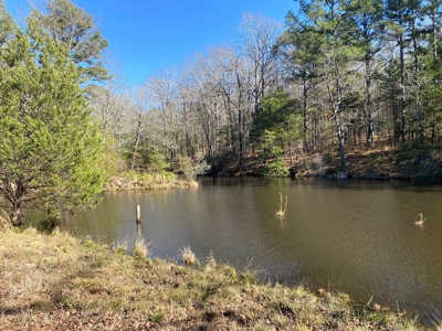 Land for Sale for sale in Gilmer, Texas - image 19