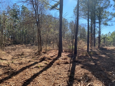 Land for Sale for sale in Gilmer, Texas - image 15