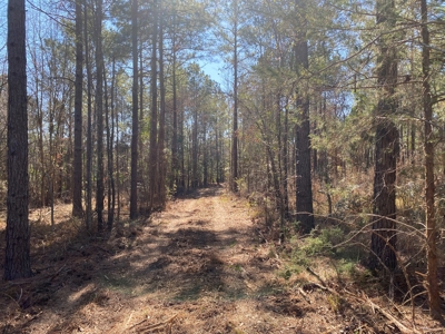 Land for Sale for sale in Gilmer, Texas - image 8