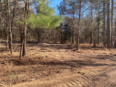 Land for Sale for sale in Gilmer, Texas - image 20