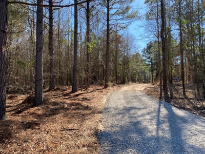 Land for Sale for sale in Gilmer, Texas - image 21