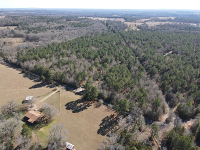 Land for Sale for sale in Gilmer, Texas - image 23
