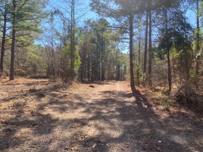 Land for Sale for sale in Gilmer, Texas - image 13